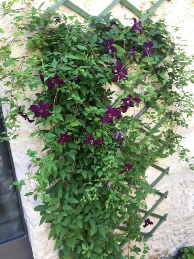 Chambre Sur Jardin Secret - Avignon Centre - Climatisee Экстерьер фото